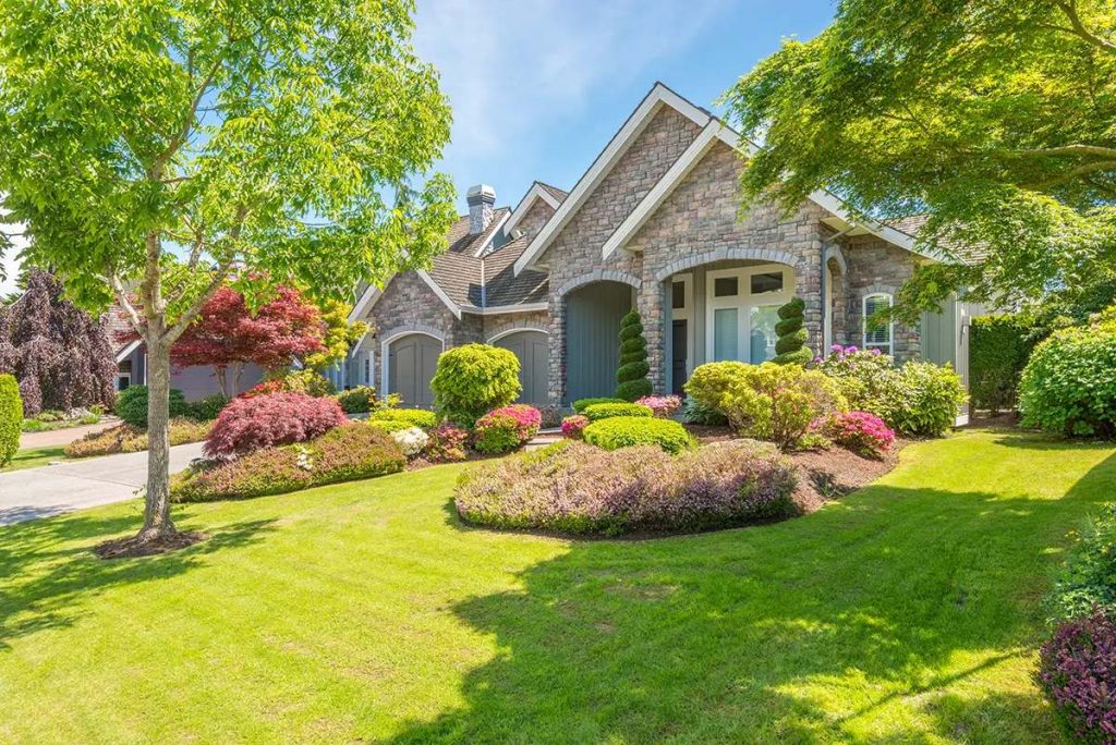 trees increase property value